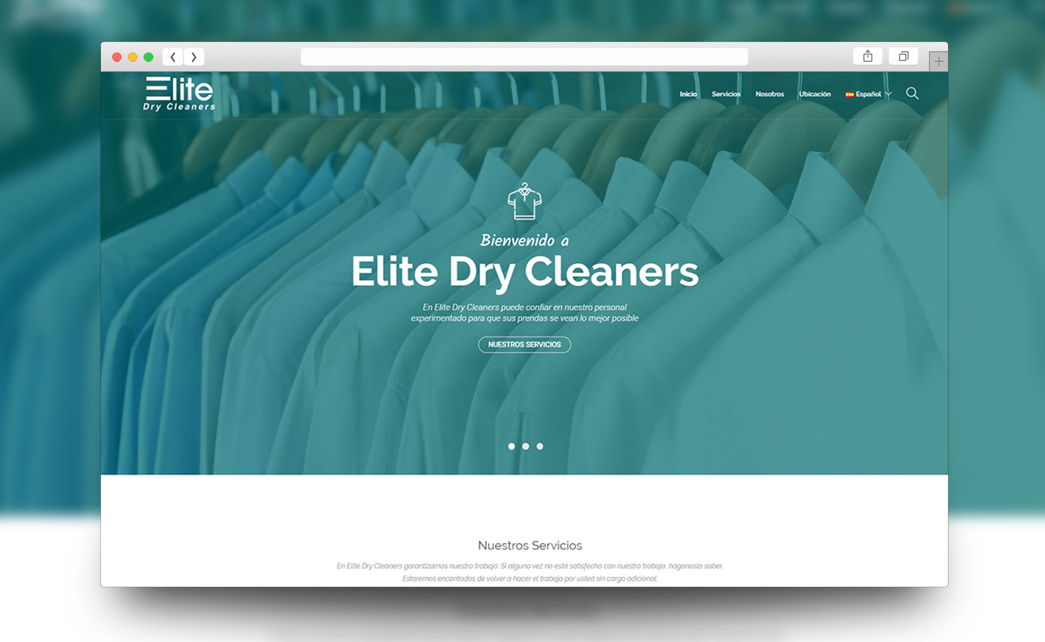 Elite Dry Cleaners website
