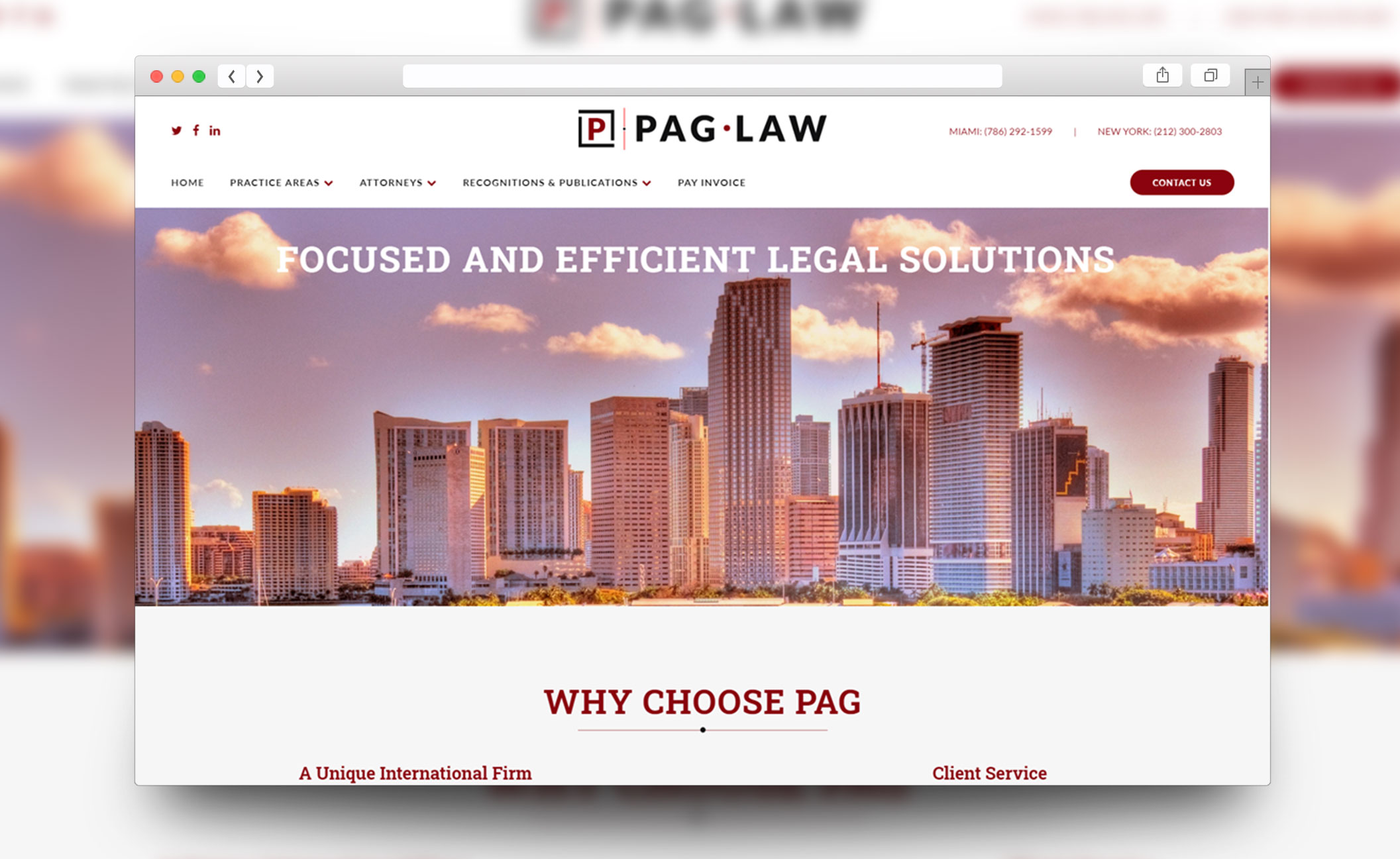 PAG.LAW website